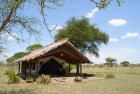 Ikoma Tented Camp Ikoma Tented Camp